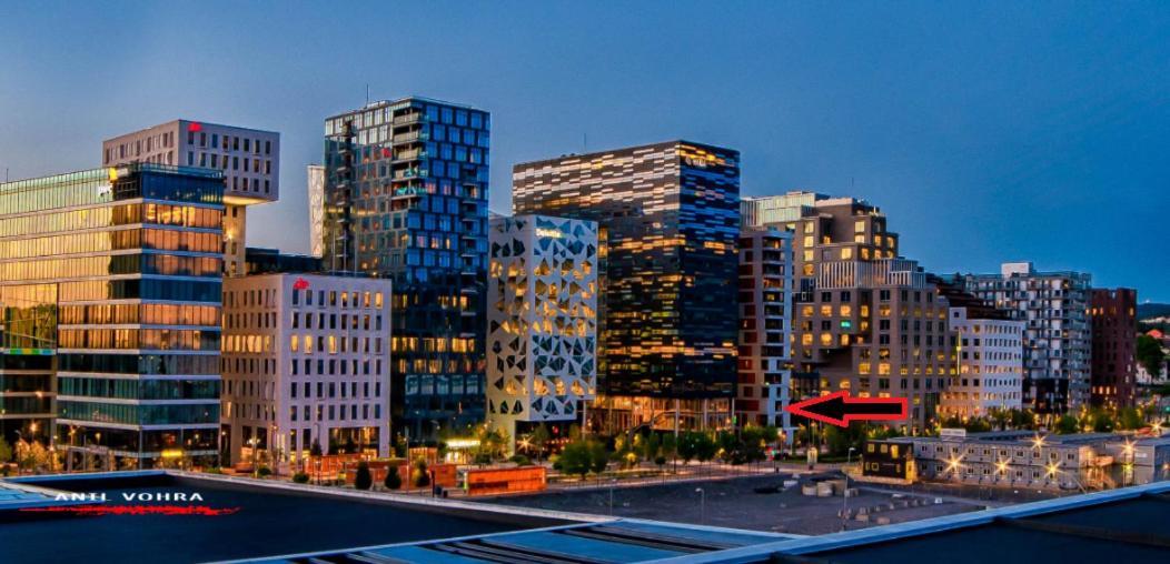 Spacious Modern 3Br Apartment At Central Oslo Barcode Экстерьер фото